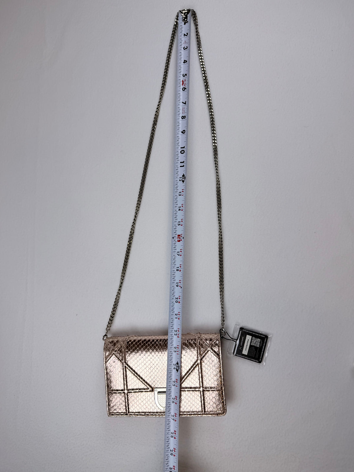Christian Dior Rose Gold Python Diorama Promenade Pouch Chain Crossbody Bag RARE