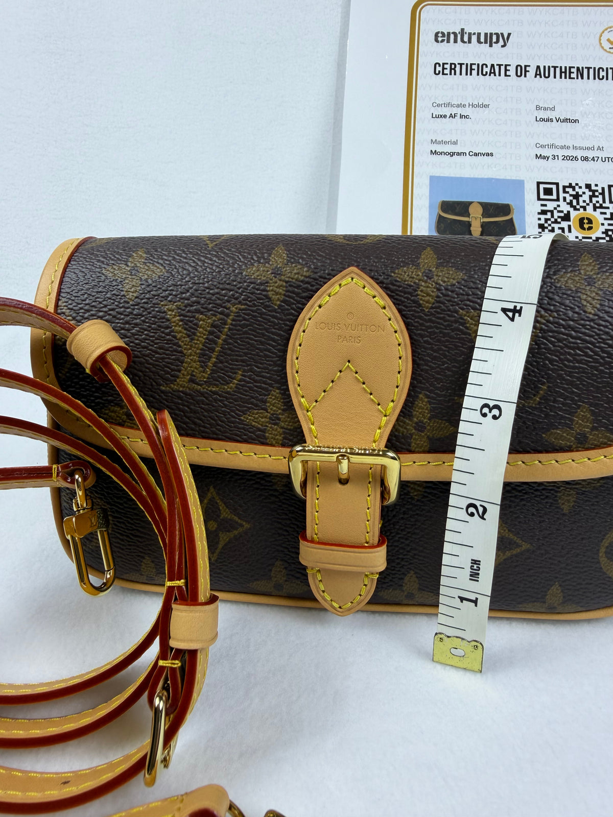 Louis Vuitton 2026 Nano Diane Monogram Bag NWOT