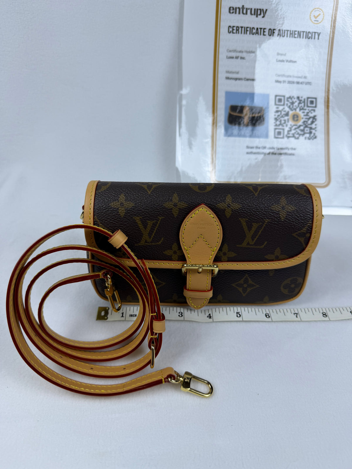 Louis Vuitton 2026 Nano Diane Monogram Bag NWOT