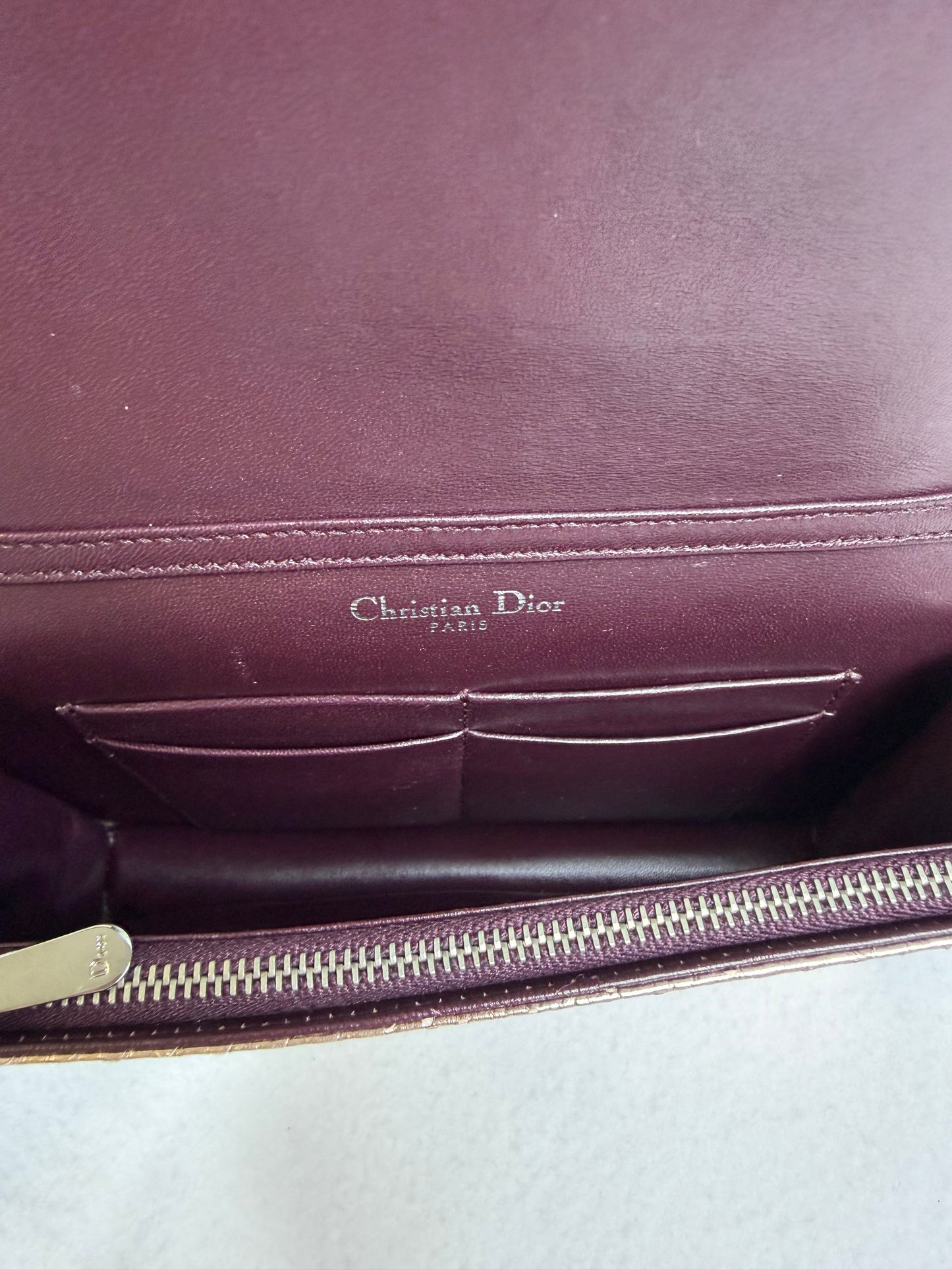 Christian Dior Rose Gold Python Diorama Promenade Pouch Chain Crossbody Bag RARE