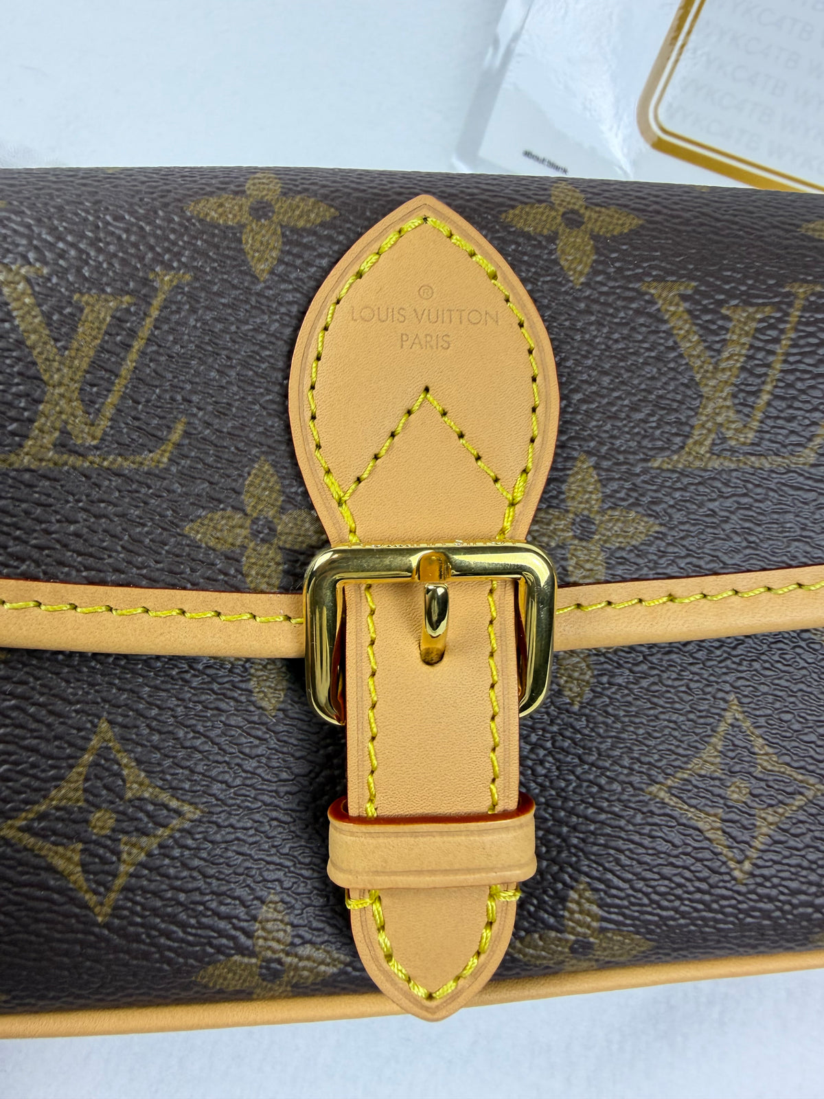 Louis Vuitton 2026 Nano Diane Monogram Bag NWOT