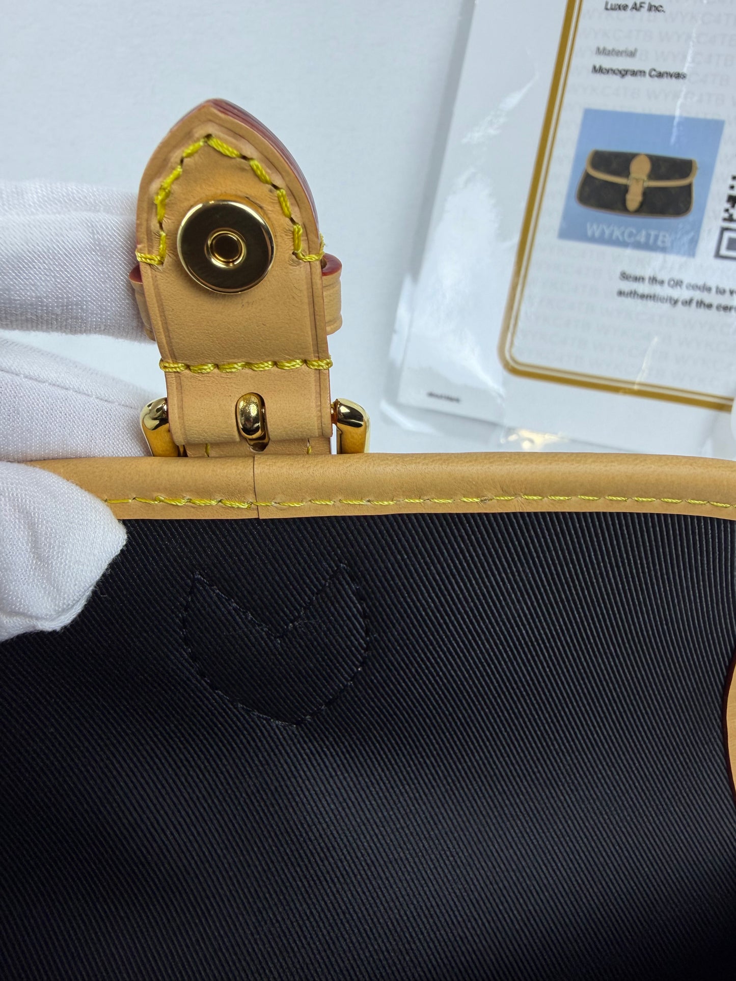 Louis Vuitton 2026 Nano Diane Monogram Bag NWOT
