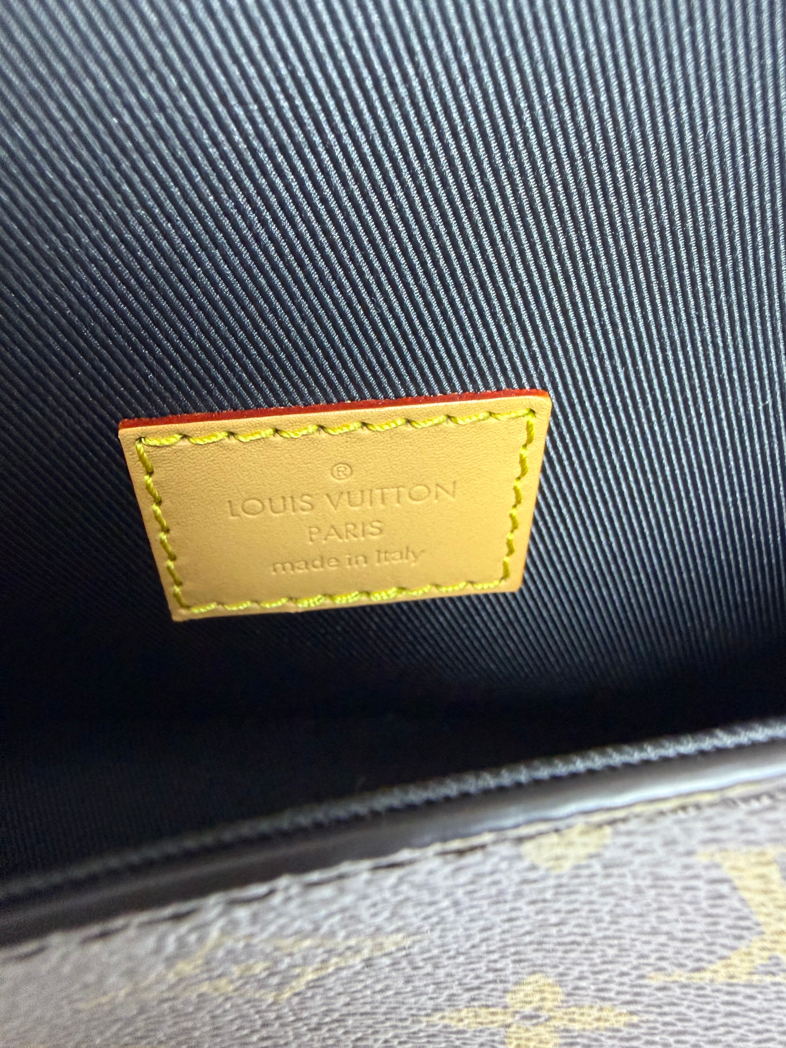 Louis Vuitton 2026 Nano Diane Monogram Bag NWOT