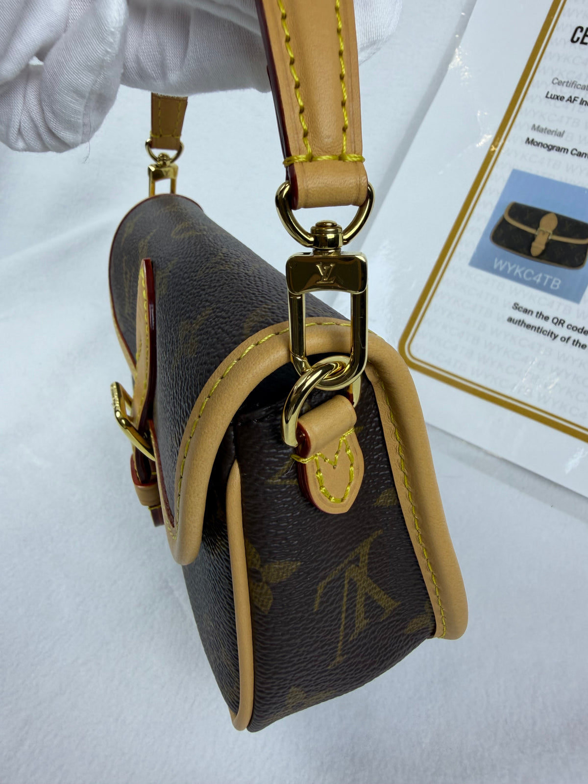 Louis Vuitton 2026 Nano Diane Monogram Bag NWOT